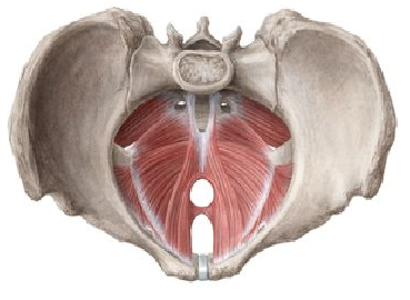 微信截图_20201218104348.png