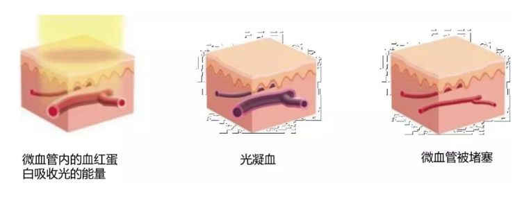 QQ截图20210107094009.png