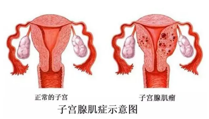 QQ截图20210120091238.png