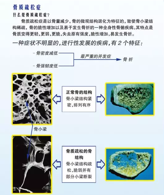 QQ截图20210223082645.png
