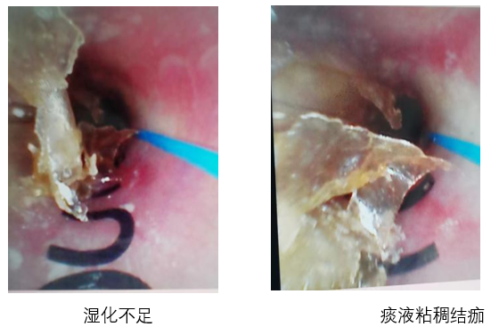 QQ浏览器截图20240429083748.png