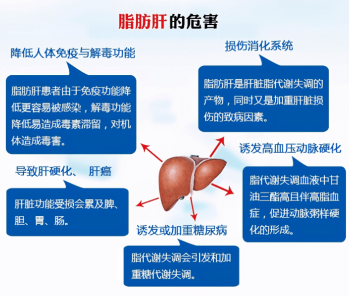 QQ浏览器截图20240427103310.png