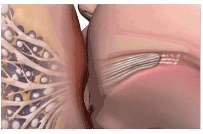 QQ浏览器截图20240805093234.png QQ浏览器截图20240805093234.png