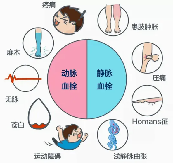 QQ浏览器截图20241015090839.png