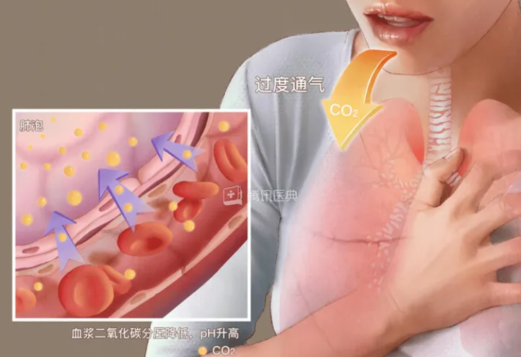 QQ浏览器截图20241024161613.png