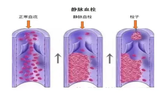 QQ浏览器截图20241015090827.png