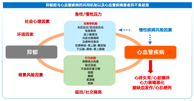 QQ浏览器截图20241205085656.png