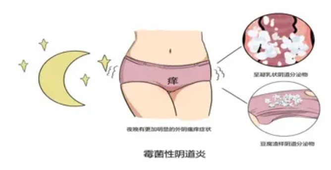QQ浏览器截图20241225105221.png