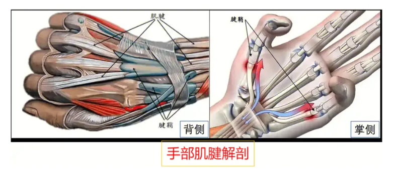 QQ浏览器截图20250224095635.png